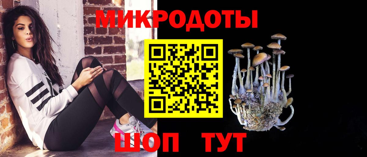 Псилоцибиновые грибы Cubensis Надым