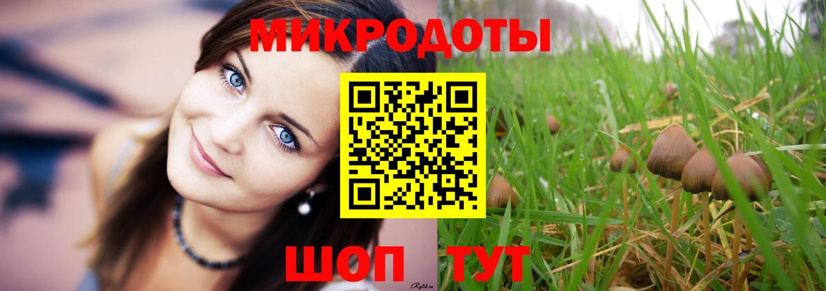 Псилоцибиновые грибы мицелий  Вход с VPN  Надым 